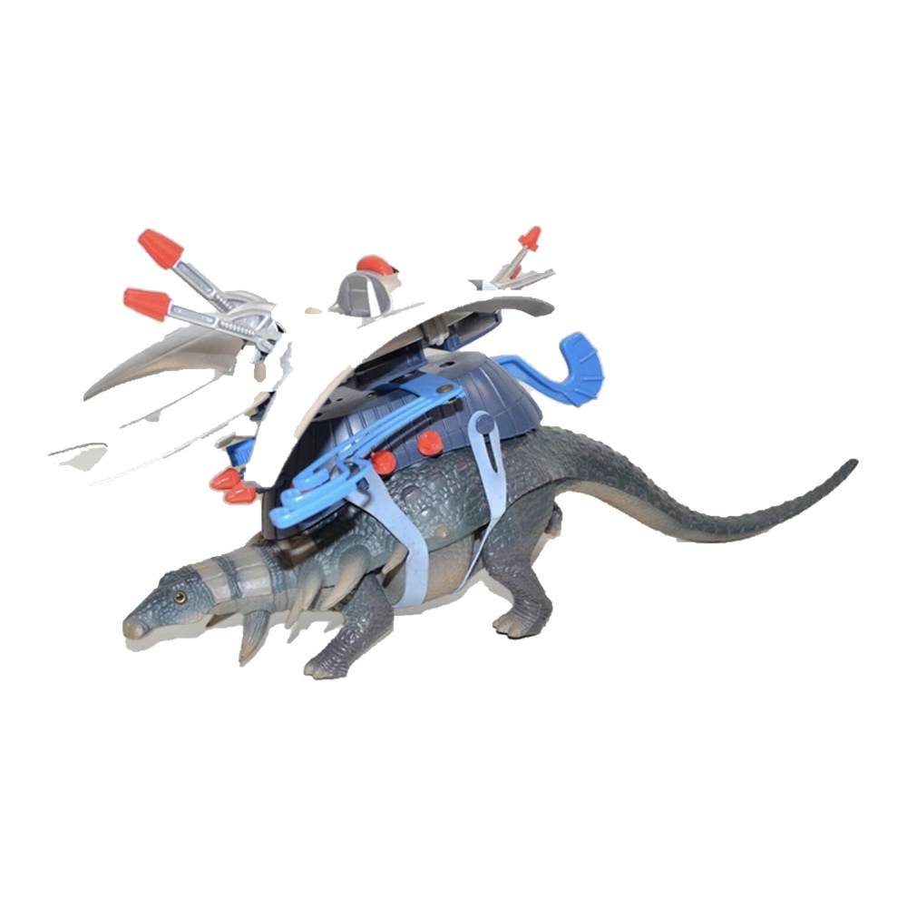 Edmontonia - Loose